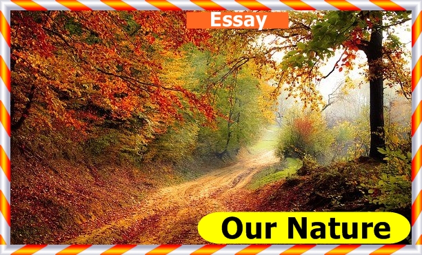 our nature essay