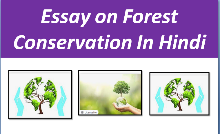 essay on conservation of forest in 150 words