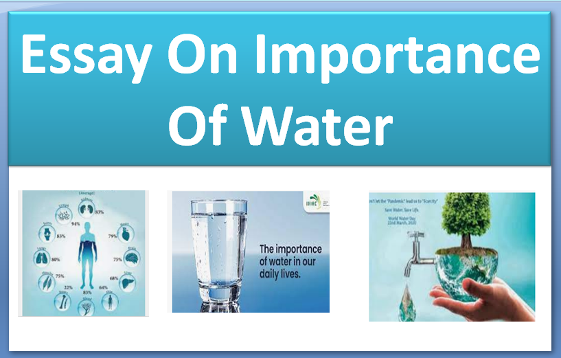 essay for importance of water