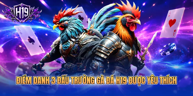 Điểm danh 3 đấu trường gà đá H19 được yêu thích