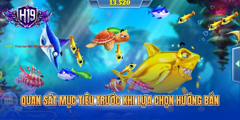 Quan sát mục tiêu trước khi lựa chọn hướng bắn